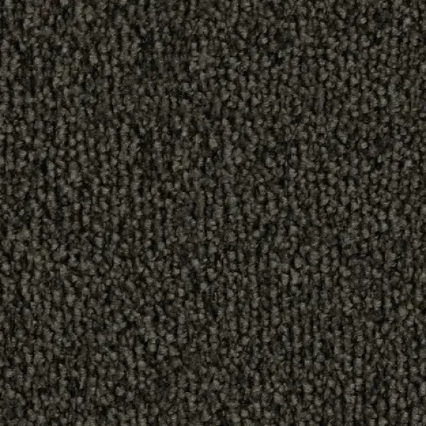 Vorwerk Safira Teppichboden Farbcode 9G21 – Draufsicht ohne Etikett